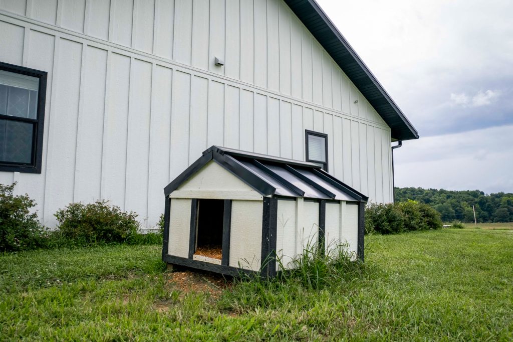 A dog house with a standing seam roof sits in the grass outside a residential home.
